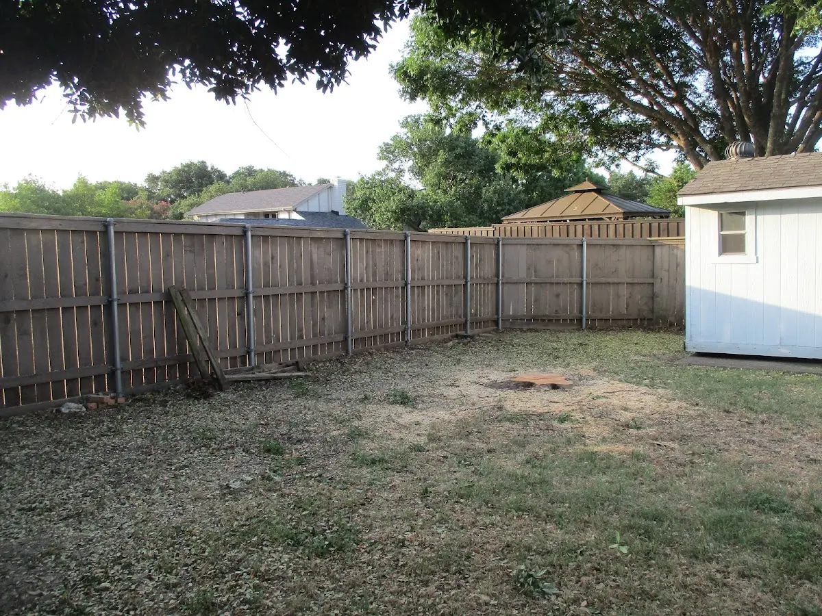 Cleared yard after professional tree removal in Anthony